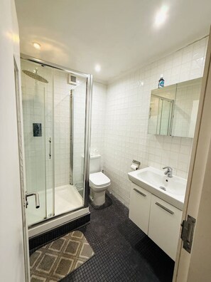 A bathroom with a glass shower enclosure, a toilet, a sink, and a mirror. - Big one bedroom flat with separate kitchen (Greater London)