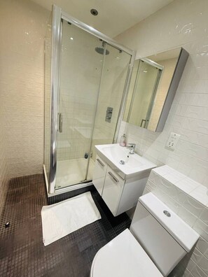 A bathroom with a glass shower enclosure, a white sink, a mirror, and a toilet. - Specious one bedroom flat in Whitechapel (Greater London)
