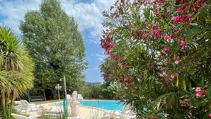 A swimming pool surrounded by lush greenery and trees.