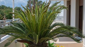 Ein Balkon mit einer Palme und gelben Blüten, ein weißes Gebäude und eine Straßenlaterne.