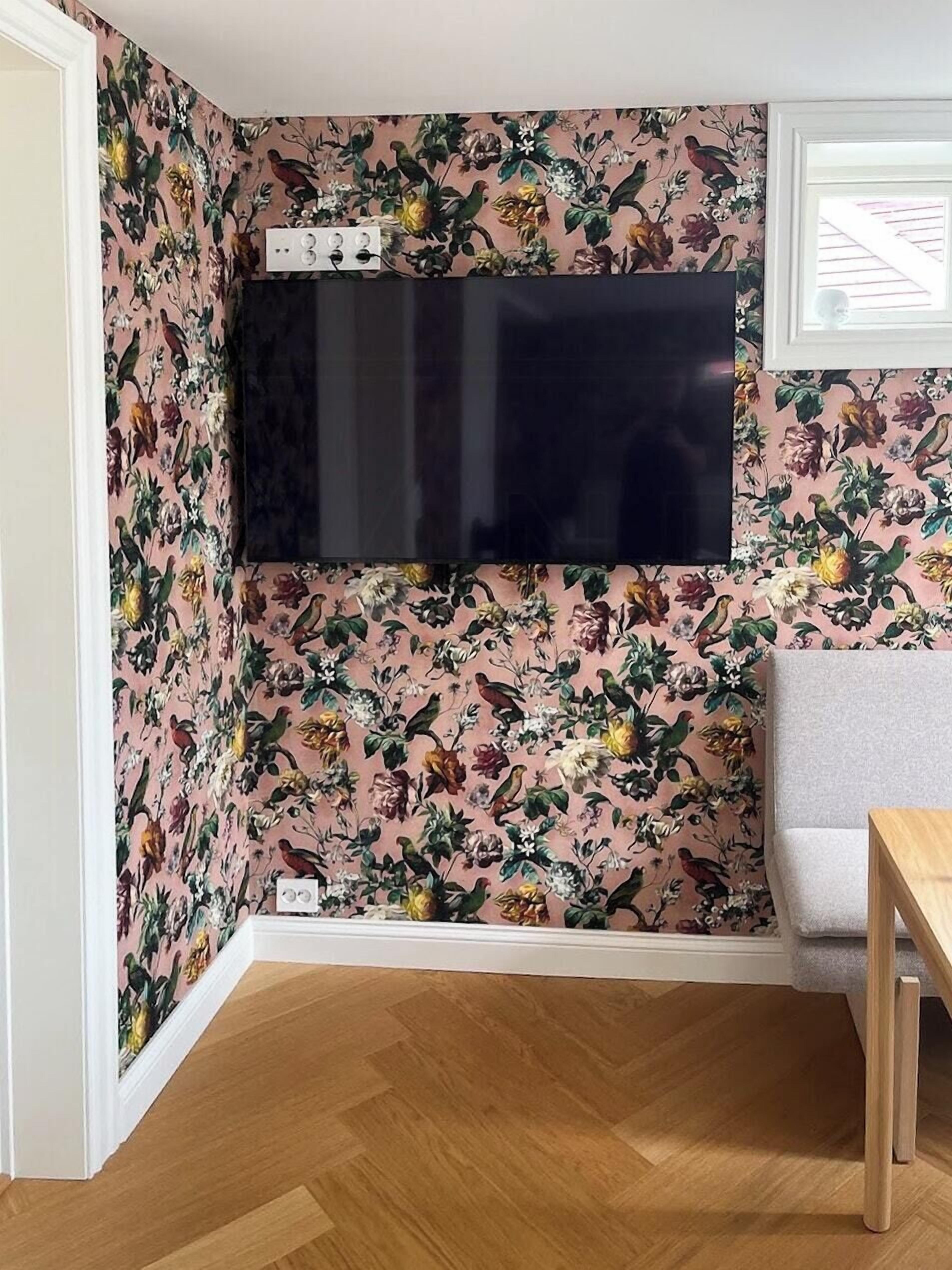 Téléviseur, foyer