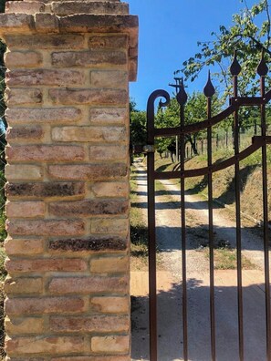 Un muro de ladrillo y una verja metálica con un sendero que atraviesa un viñedo.