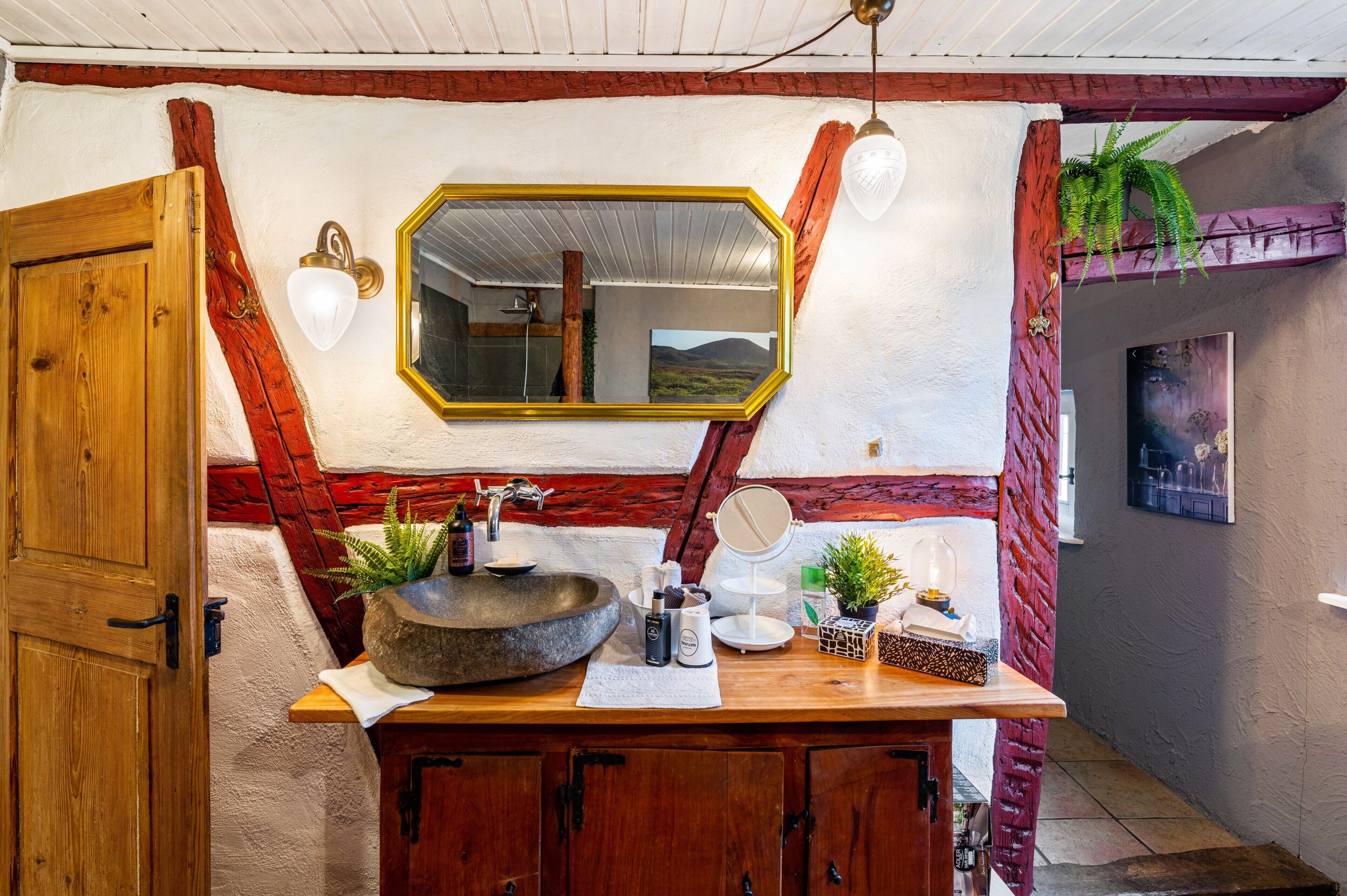 A bathroom with a wooden vanity, a stone sink, a mirror, and a hanging plant.