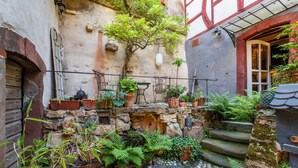 Un escalier en pierre mène à une porte en bois, qui est entourée de plantes en pot et d’un petit arbre.