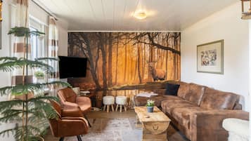 Fernseher