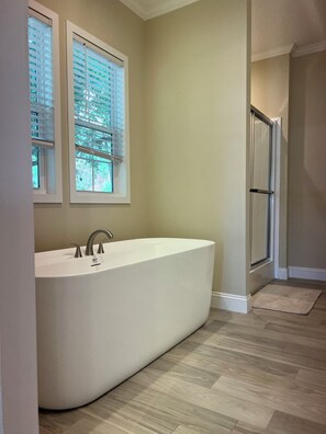 Bathroom - Cozy 2-bedroom house in nice Wesley Chapel with AC (Wesley Chapel)
