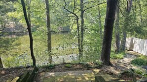 Ein gepflasterter Weg führt zu einer hölzernen Bank mit Blick auf einen Teich, der von Bäumen umgeben ist.