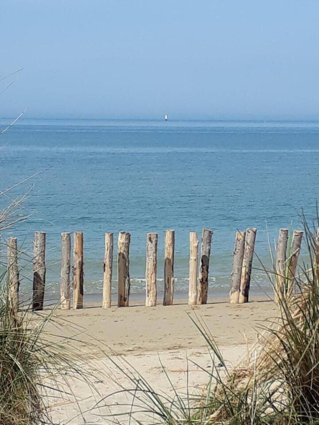 In Strandnähe