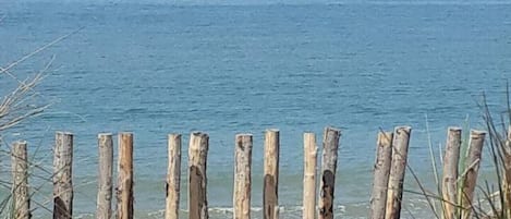 Una spiaggia nelle vicinanze