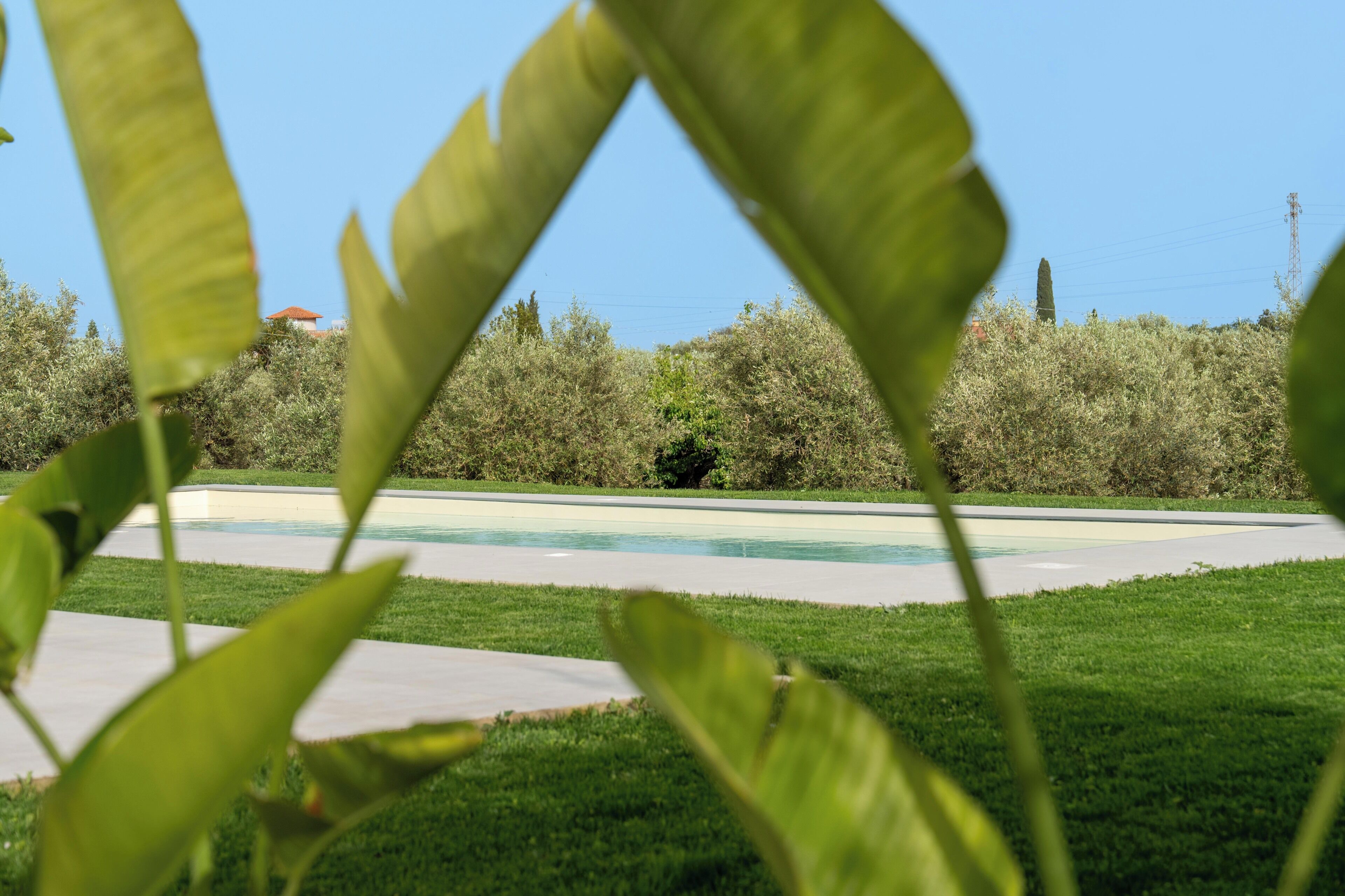 Una piscina con vistas despejadas de la vegetación circundante y un edificio distante.