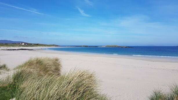 Une plage de sable, avec de l’herbe et un ciel bleu dégagé.