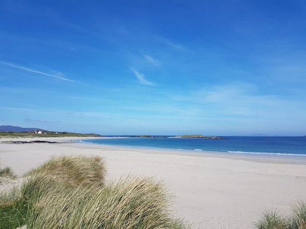 Ein Strand mit Sand, Gras und blauem Himmel.