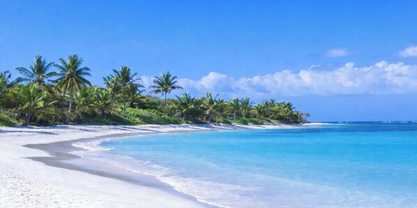 Una spiaggia con sabbia bianca, acqua cristallina e palme.
