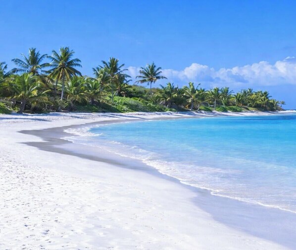 Una spiaggia con sabbia bianca, acqua cristallina e palme.