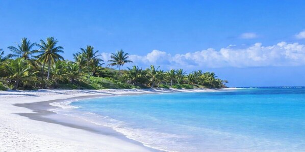 Una spiaggia con sabbia bianca, acqua cristallina e palme.