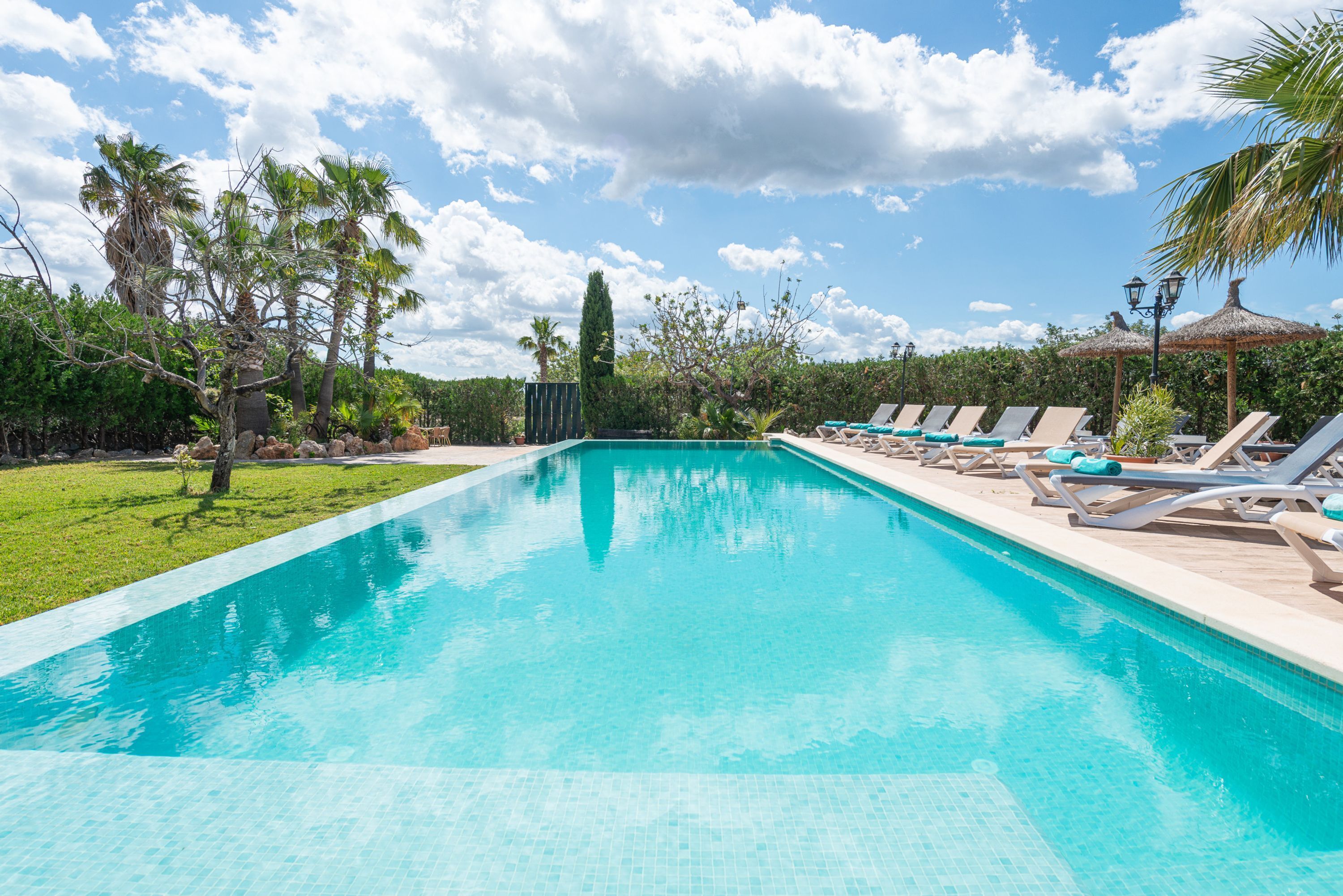 Una piscina rectangular con borde de azulejos, rodeada de sillas de descanso y palmeras.
