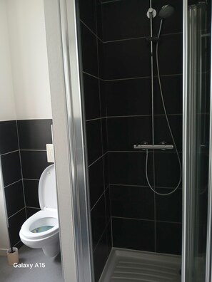 Shower, hair dryer, towels, soap - Au Bosquet Fleuri - Maison de campagne (Martizay)