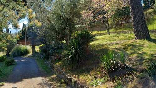 Villa Charlotte Bella Vista
