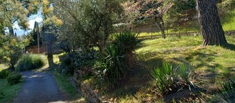 Villa Charlotte Bella Vista
