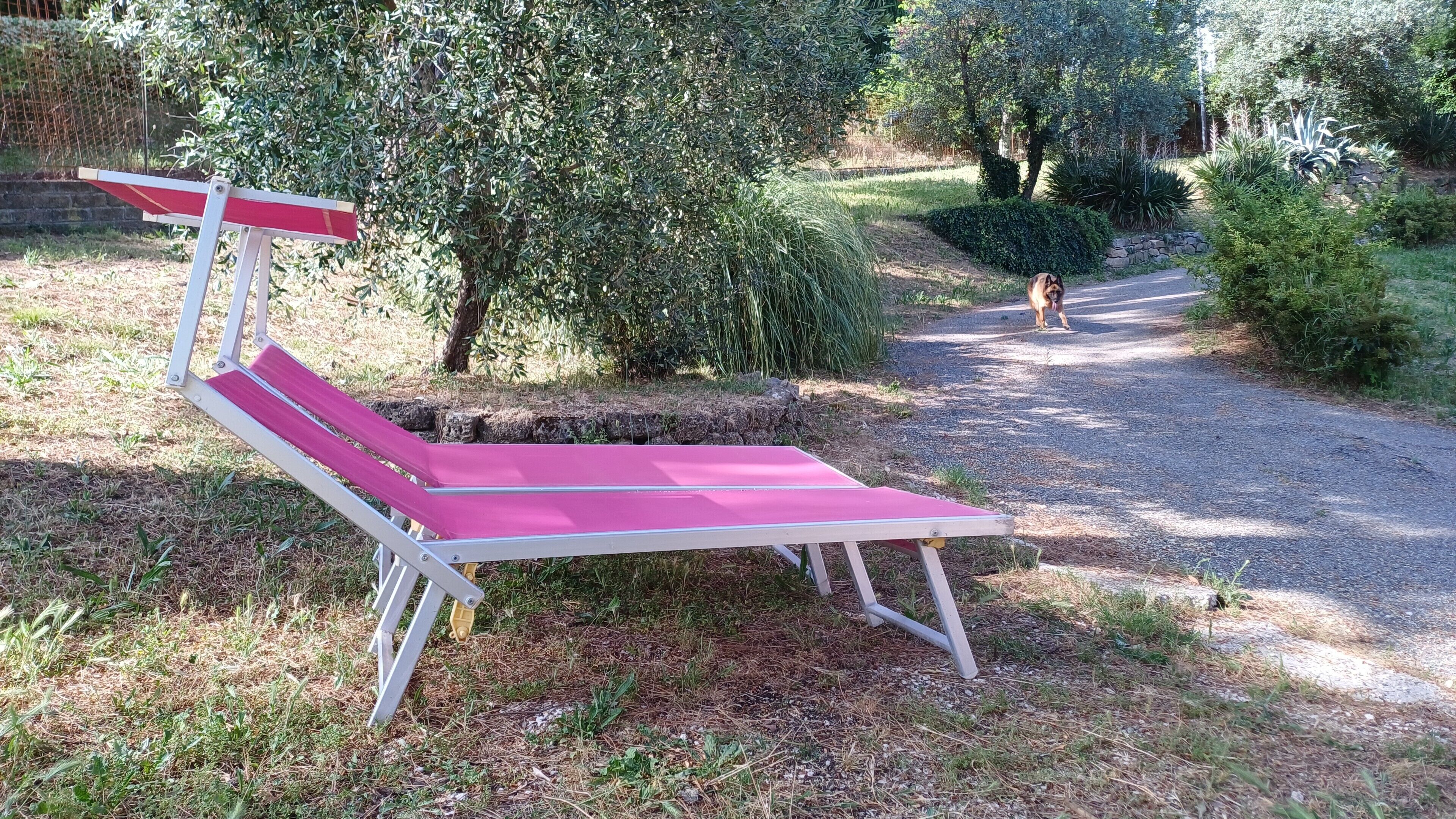 A red and white lounge chair in a garden with a gravel path and greenery.