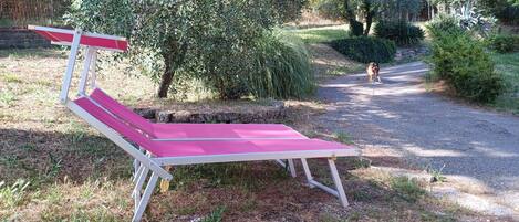 A red and white lounge chair in a garden with a gravel path and greenery.