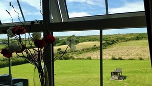 A window with a view of a grassy field and a chair outside.