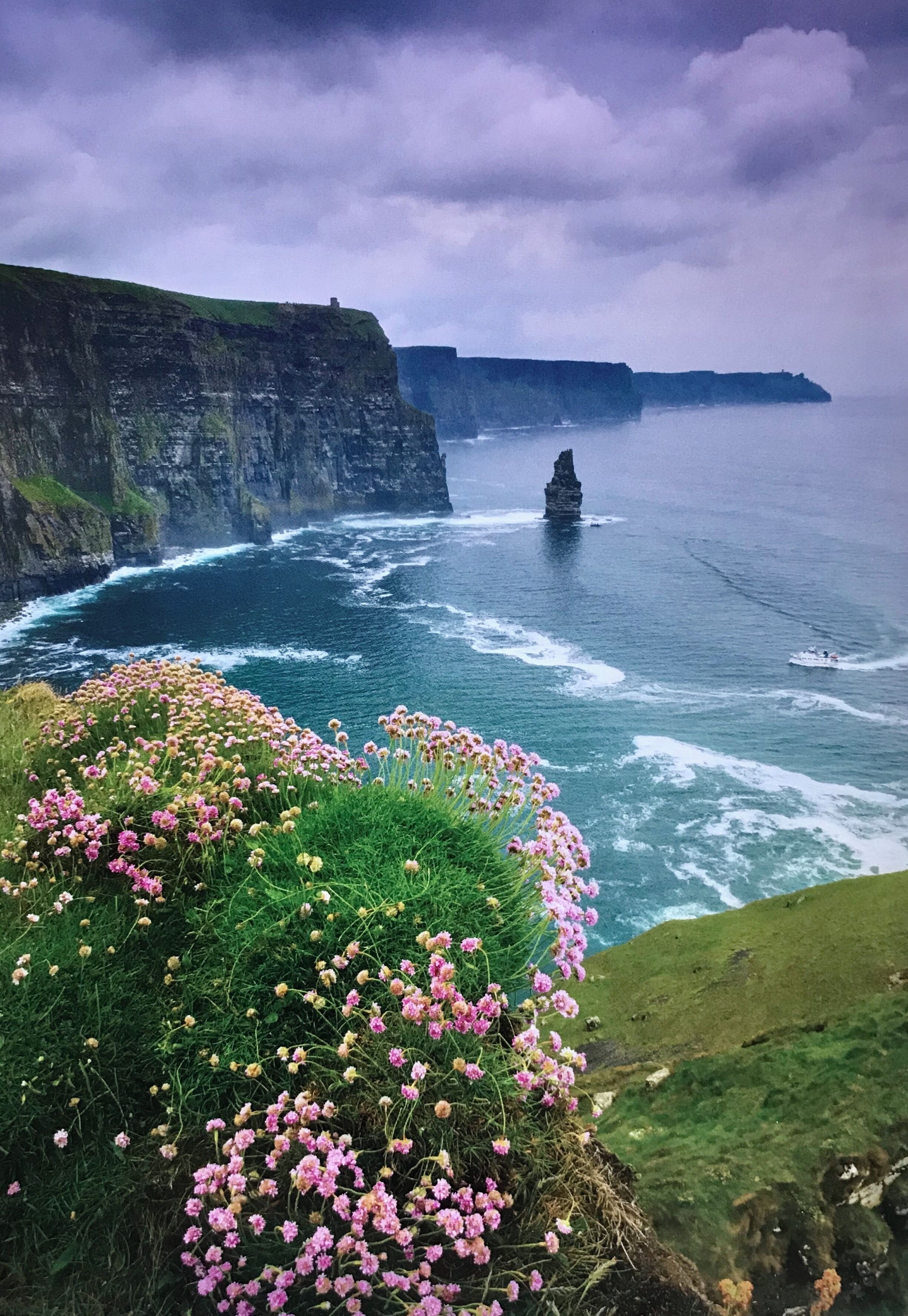 A coastal landscape with cliffs, flowers, and a boat in the water.