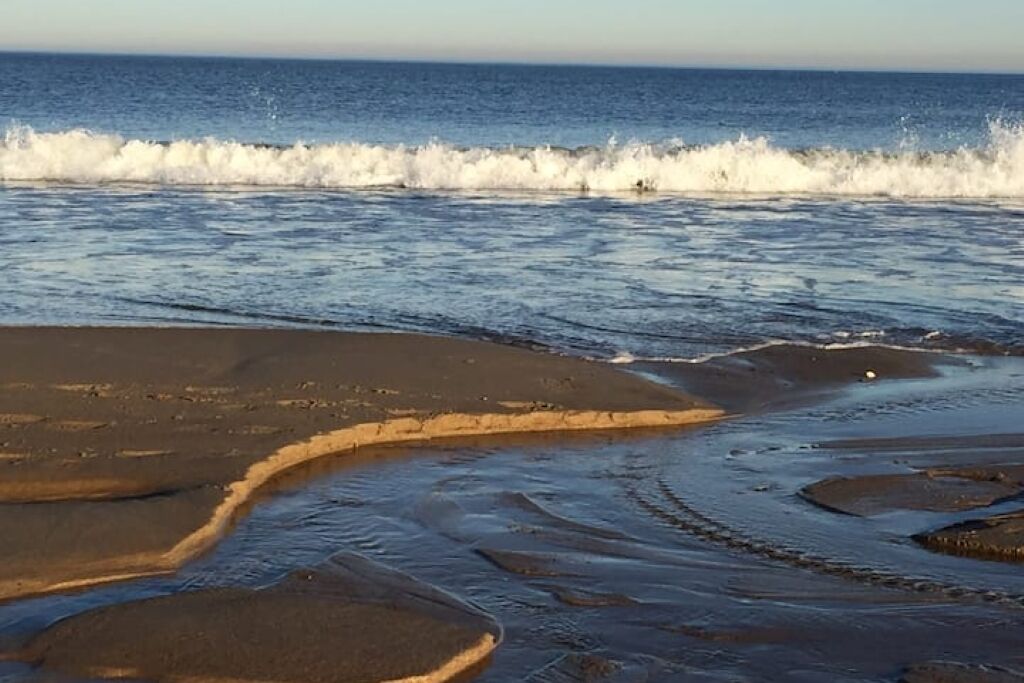 Une plage avec des vagues, du sable mouillé et un ciel dégagé.