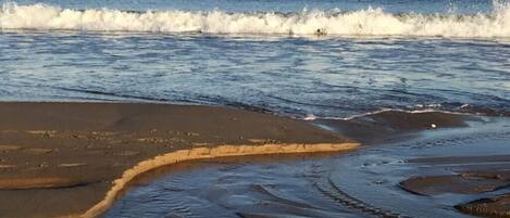 Una playa con olas, arena mojada y cielo despejado.