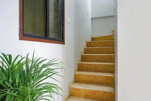 Una escalera con barandilla, una planta en maceta y un ventanal con vidrio esmerilado.