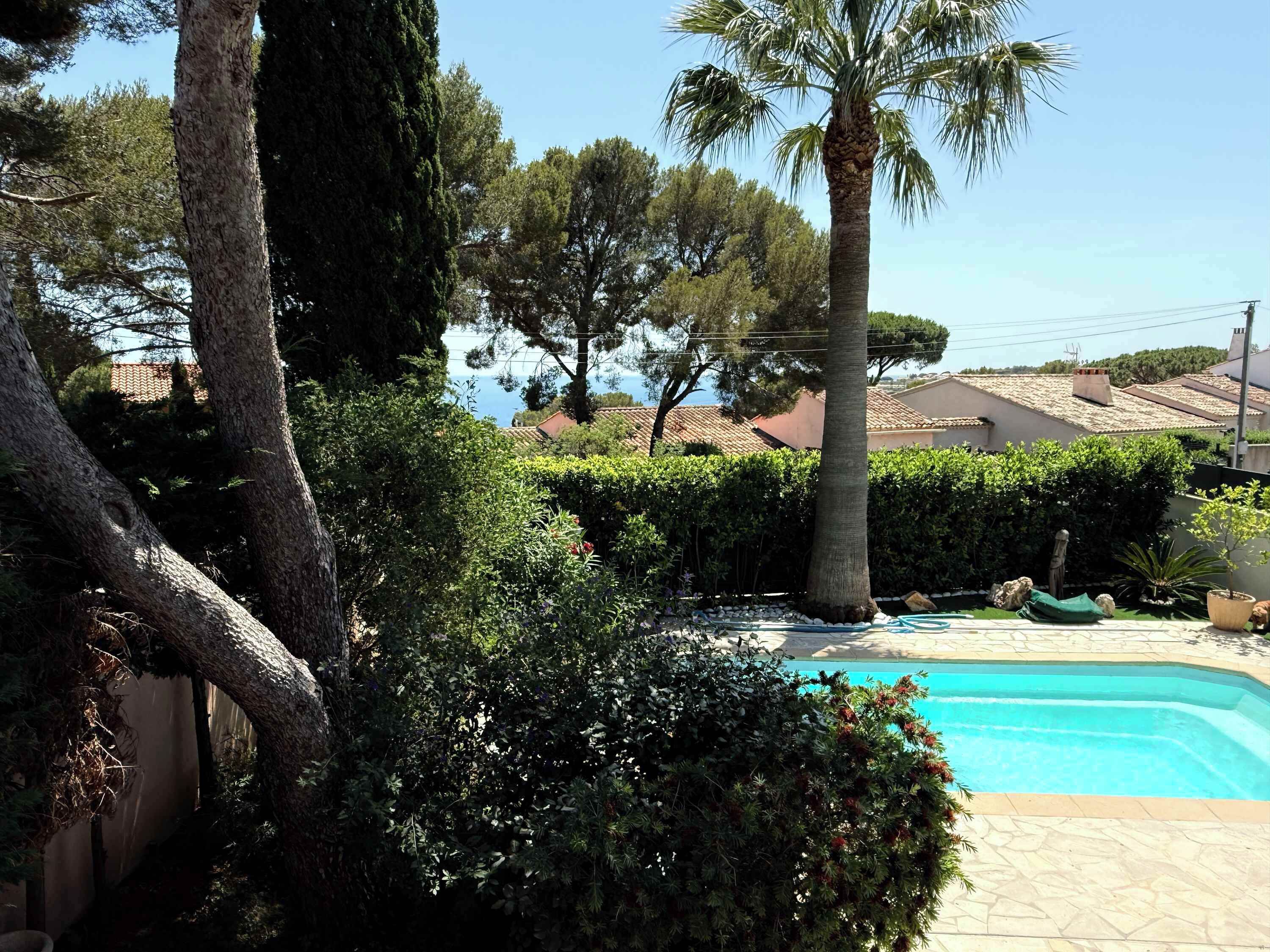 A swimming pool surrounded by trees and a clear sky.