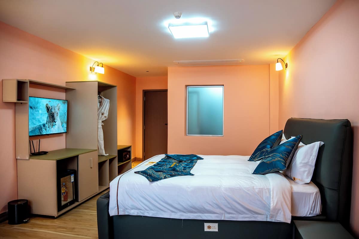 A bedroom with a bed, a television, a wardrobe, and a window.