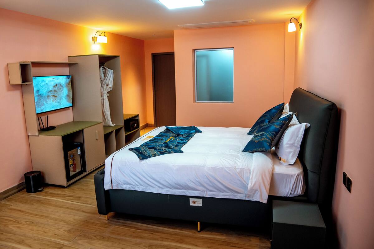 A bedroom with a bed, a TV, a robe, and a wardrobe.