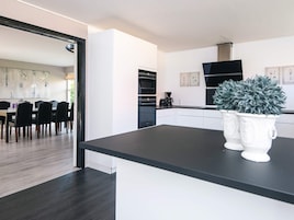 A modern kitchen with white cabinetry, a black countertop, and a potted plant.