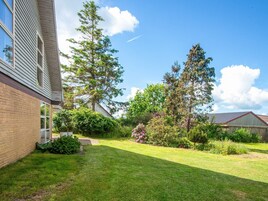 A residential backyard with a lawn, a tall tree, and a brick house.