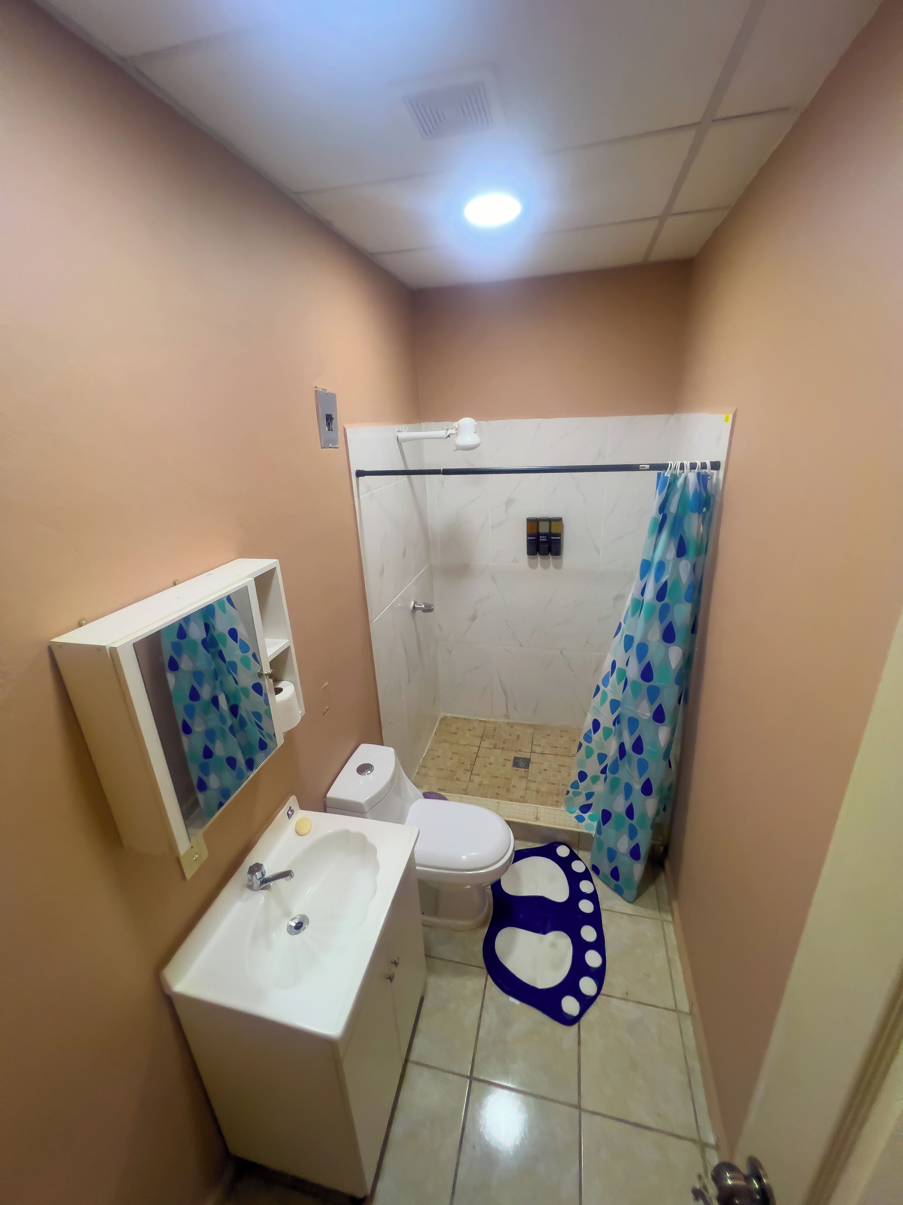 A bathroom with a toilet, sink, shower, and a mirror.