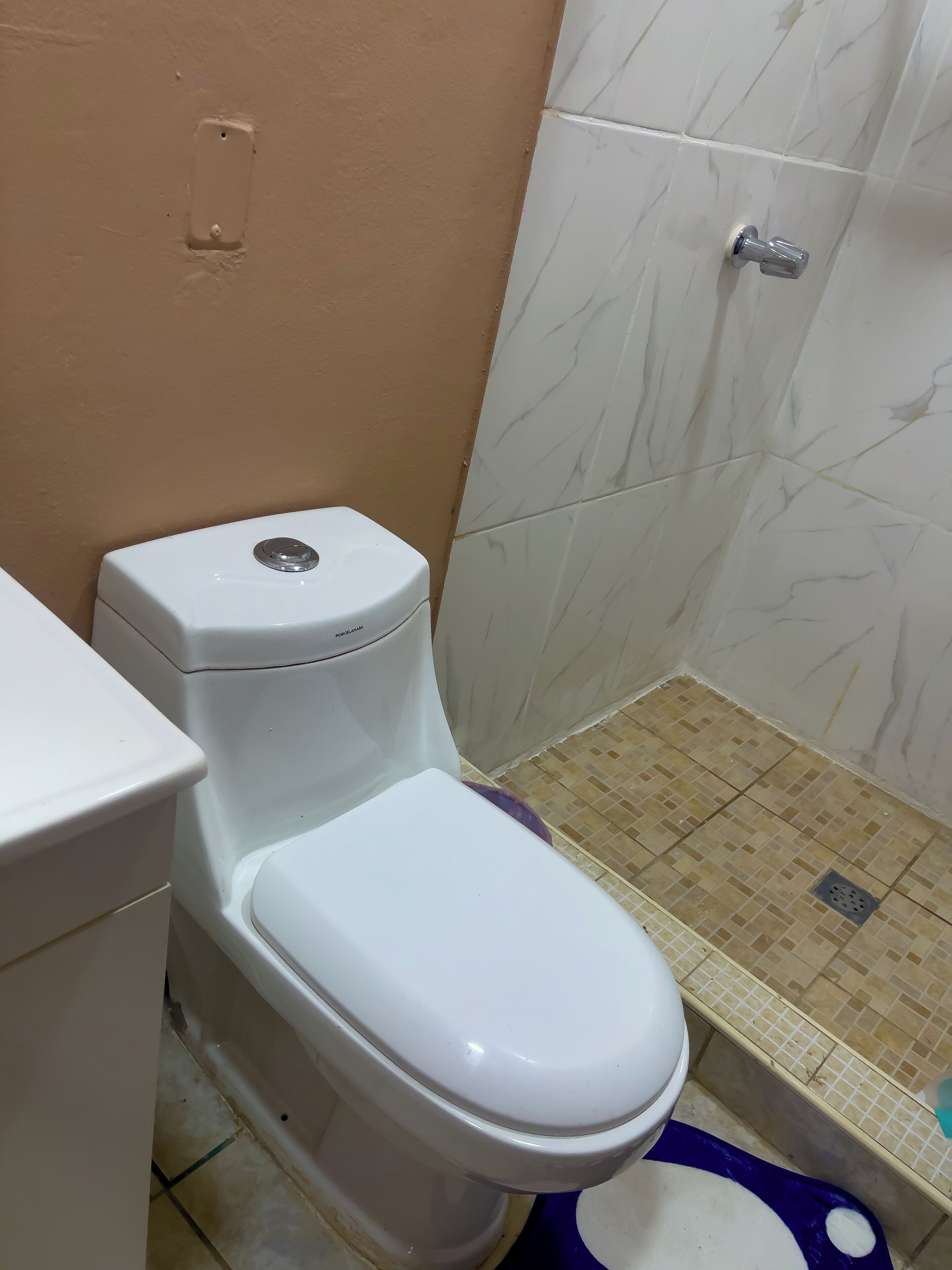 Une salle de bain comprenant des toilettes, un espace douche et un sol carrelé.