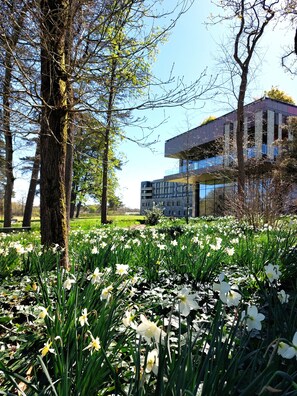 A modern building with a glass facade, surrounded by a park with daffodils. - MAUBREUIL SEMINAIRES (Carquefou)