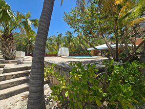 A pool area with steps leading down to the water, surrounded by tropical vegetation. - Unique Seaside Retreat - with Chef & Staff (Chicxulub, Yucatan, Mexico)