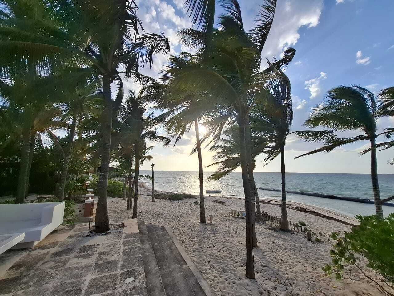 Ein Strand mit Palmen, einem hölzernen Steg und dem Meer im Hintergrund.