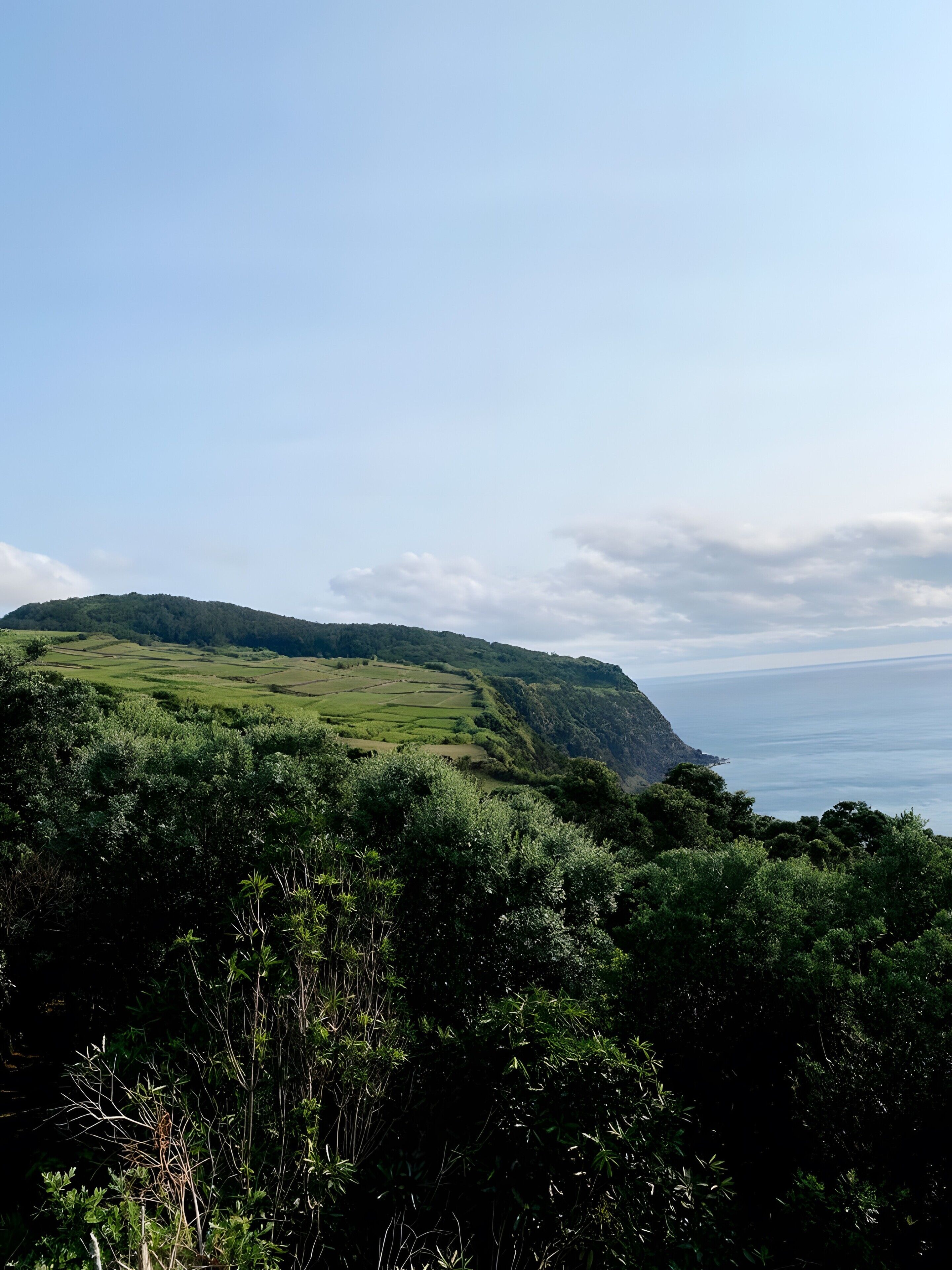 Eine Landschaft mit sanften Hügeln, üppigem Grün und einer Küstenlinie.