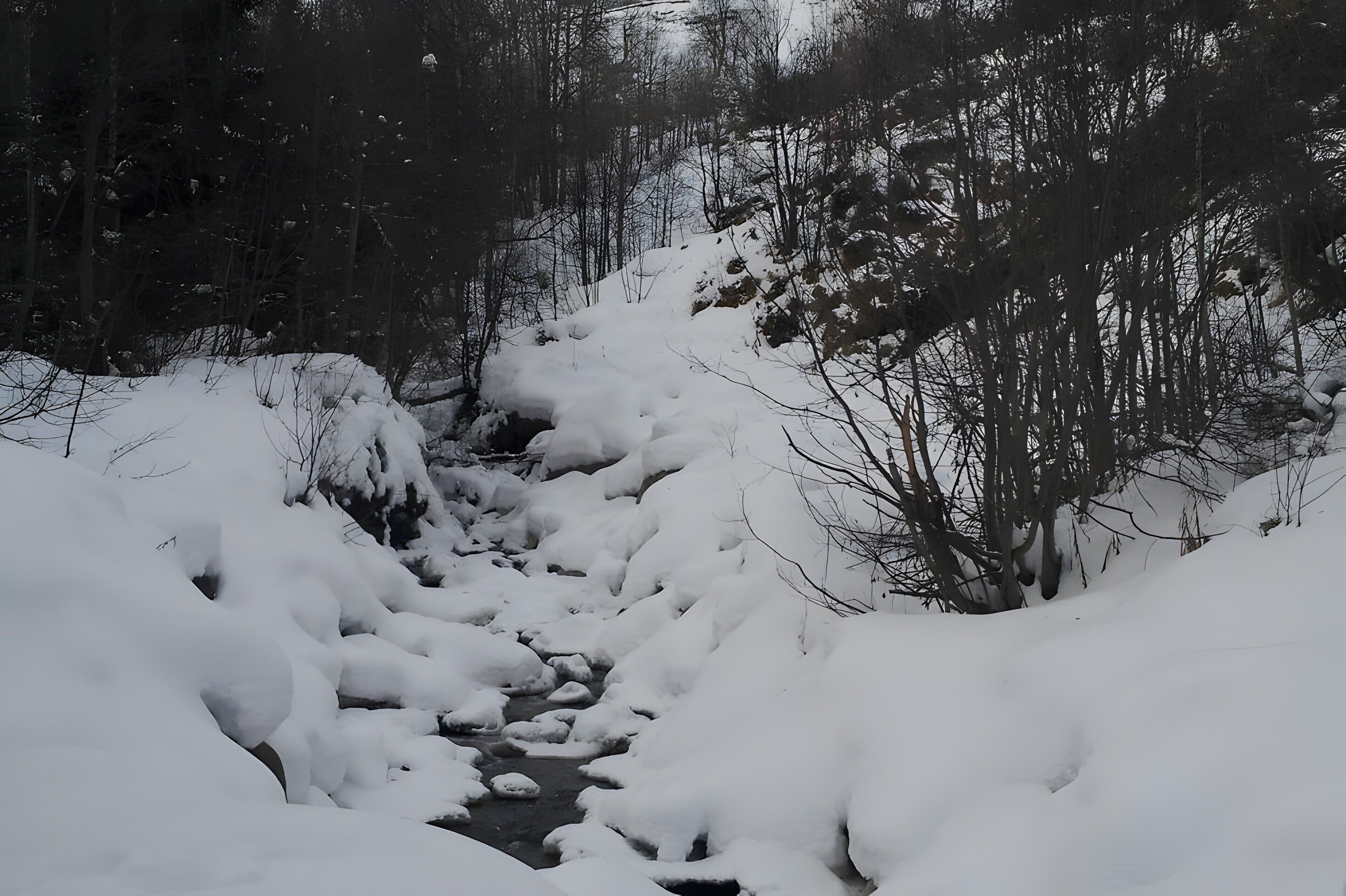 Un arroyo cubierto de nieve en un bosque.