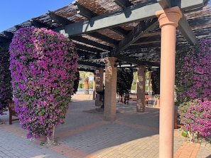 Terrace/patio - Pool View • Golf Apartment • GRA01 (Isla Canela)
