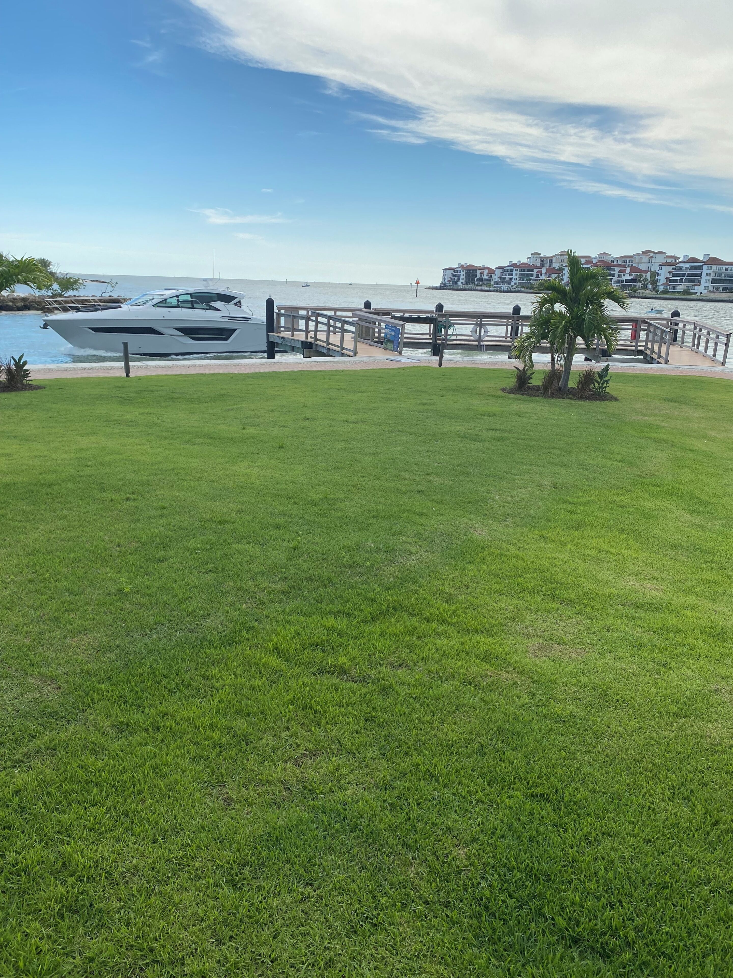 A grassy area with a dock and a boat.