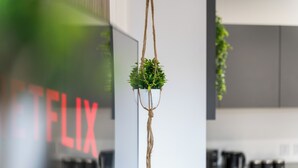Uma planta pendurada num vaso branco, suspensa por uma corda, com um fundo desfocado que mostra uma área de cozinha e uma placa com letras vermelhas.