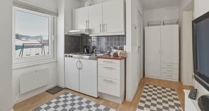 Soothing 1-room whith own bathroom apartment in charming Bodø with cozy vibes