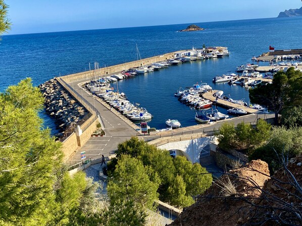 مارينا