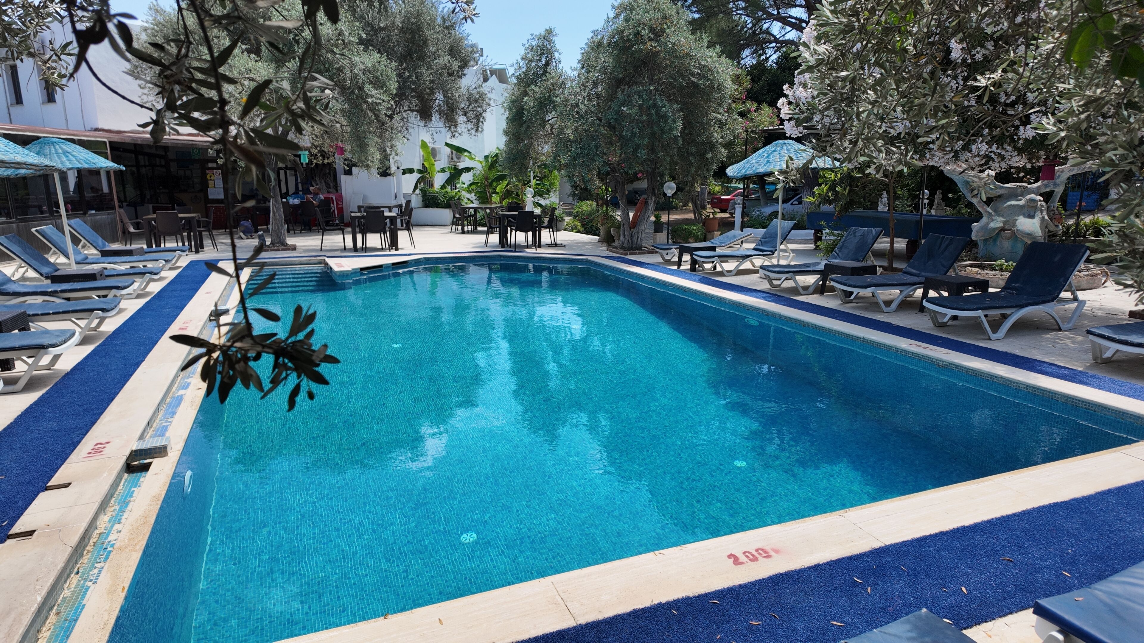 Una piscina con lettini e ombrelloni, circondata da alberi e un edificio.