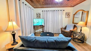 Televisión