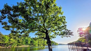 Un molo sul lago con un albero, un'area salotto coperta e una vista limpida sull'acqua.